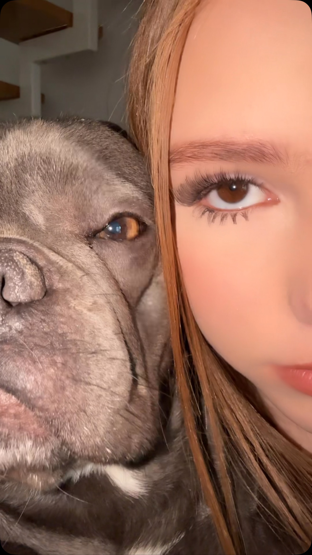 ❤️❤️❤️

#doglover #dog #dogoftheday #dogtrend #loveyou #love #mybestfriend #frenchbulldog