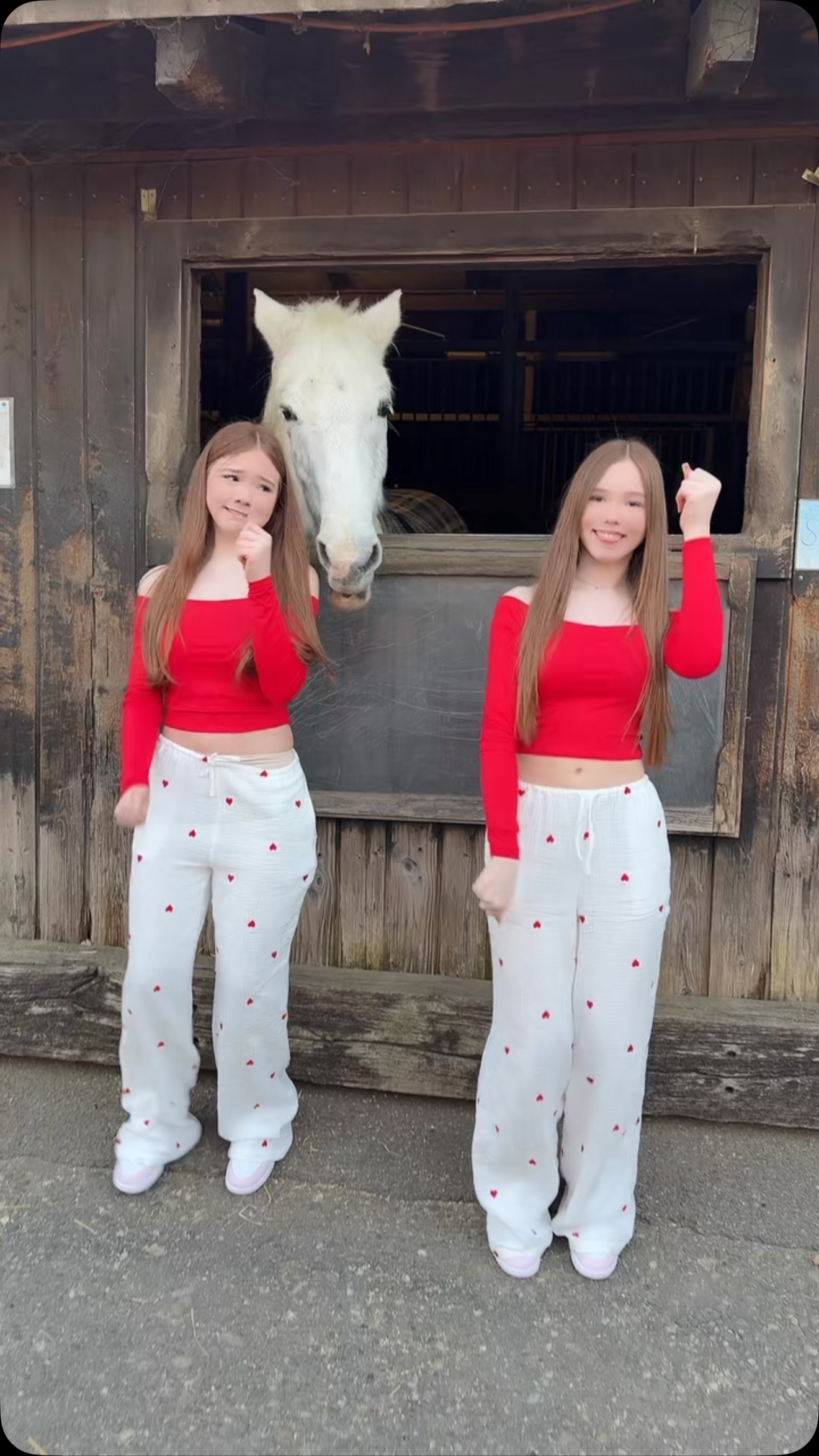 Er wollte wohl mitsingen 😅

#aminal #funnyanimals #comedy #twins #dance #horse #funnyhorse #trending