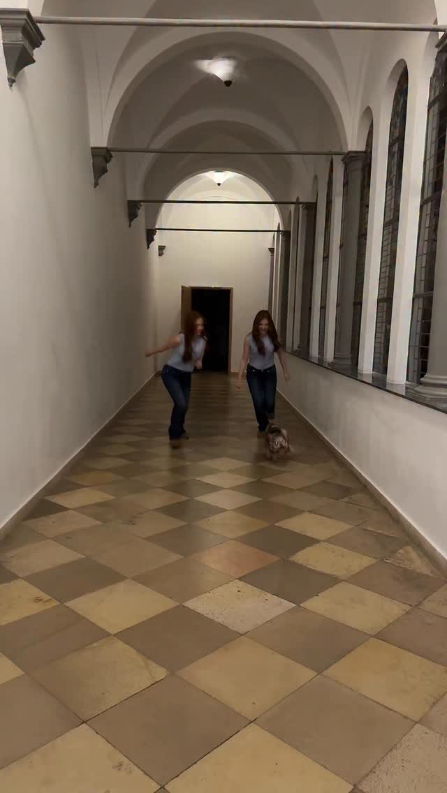 Habt ihr Haustiere? 

#dog #twins #trendingreels #viral #fypシ