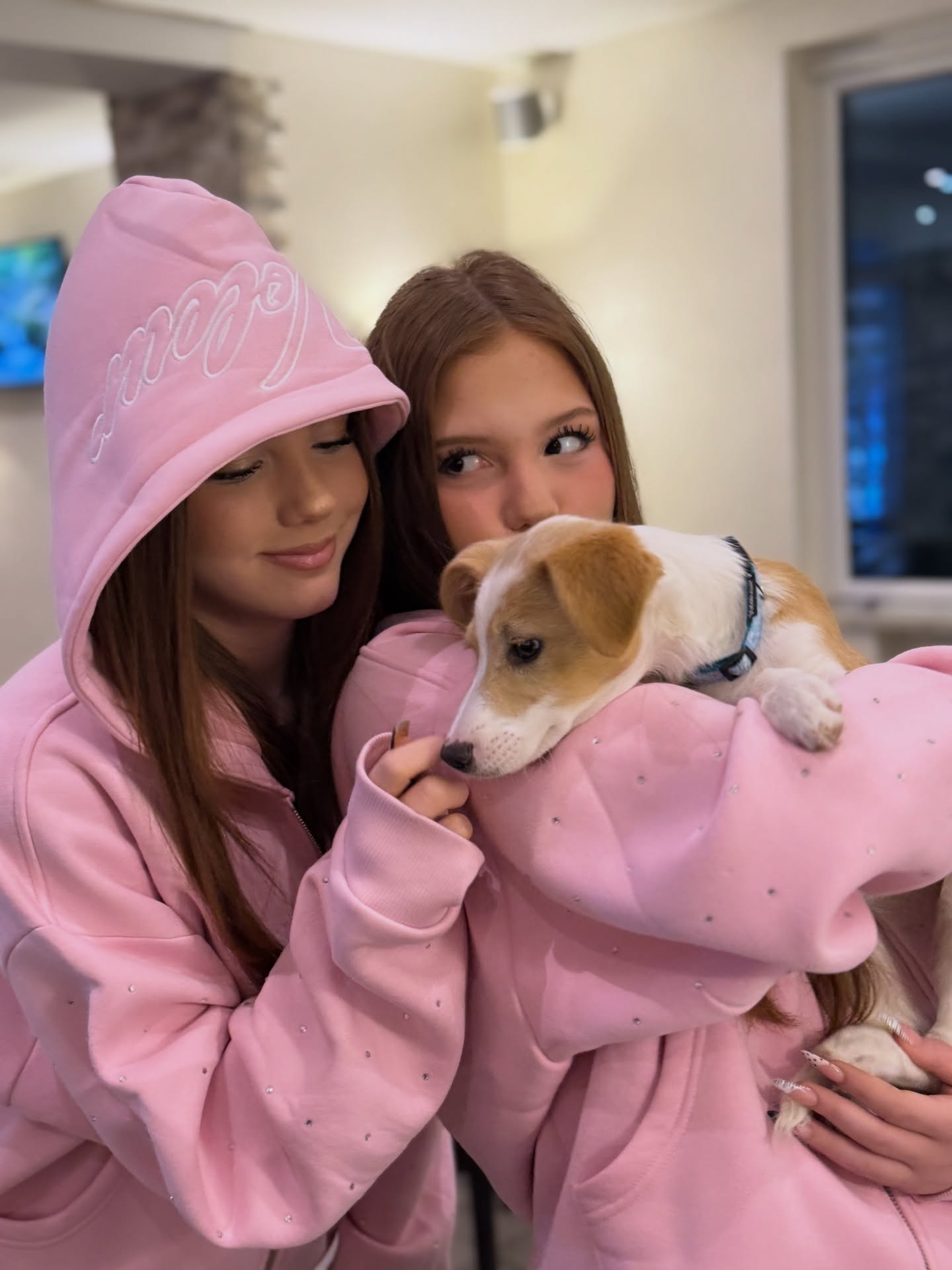 Diese kleine Maus, ist jetzt in sicheren Händen 🤍

#twins #dog #puppylove #picture #animalrescue
