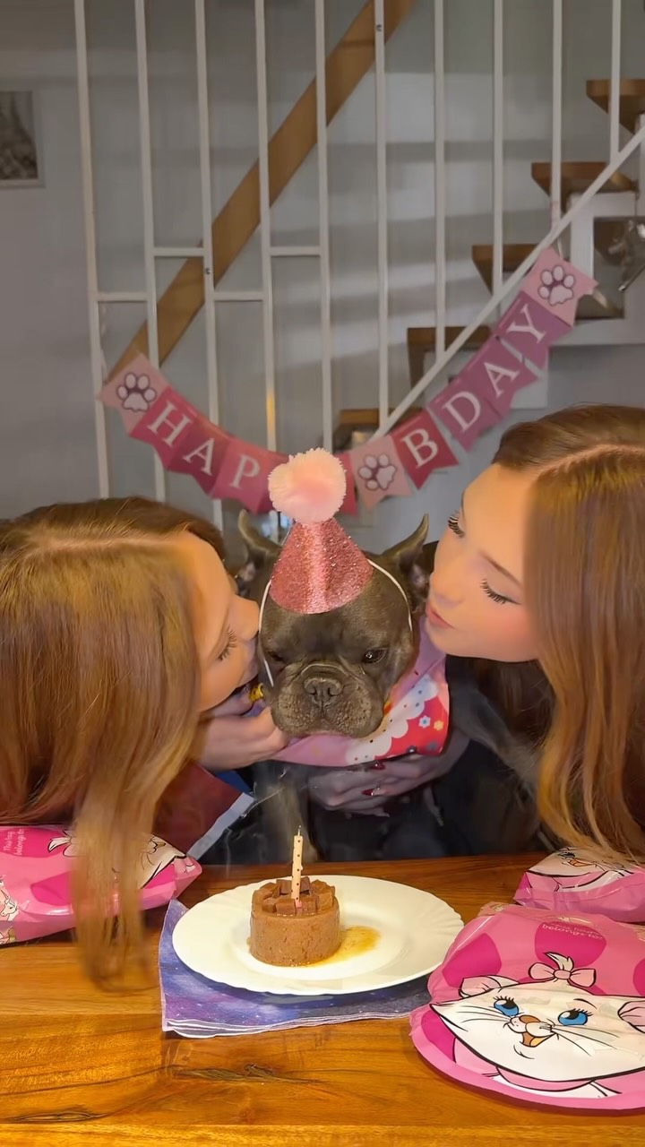 Happy Birthday our little Princess💕

#twins #trendingreels #dog #dogbirthdayparty #frenchie